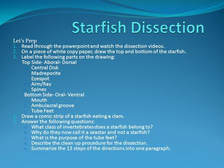 Let’s Prep 1. Read through the powerpoint and watch the dissection videos. 2. On a piece of white copy paper, draw the top and bottom of the starfish.
