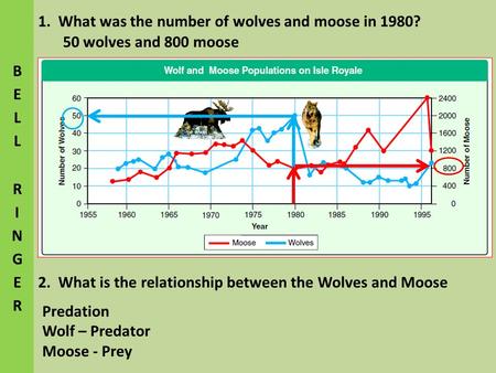 1. What was the number of wolves and moose in 1980?