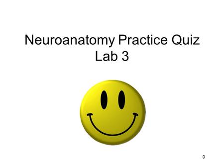 0 Neuroanatomy Practice Quiz Lab 3. 1 Identify the structure indicated by the arrows.