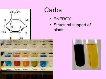Carbs ENERGY Structural support of plants. Proteins.