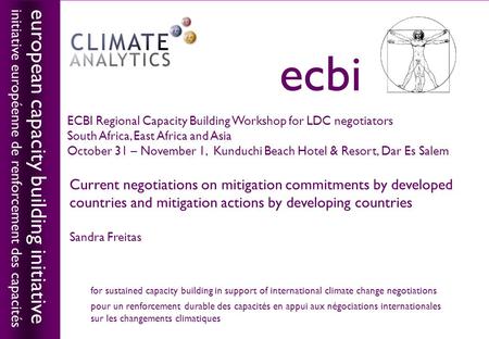 European capacity building initiativeecbi Current negotiations on mitigation commitments by developed countries and mitigation actions by developing countries.