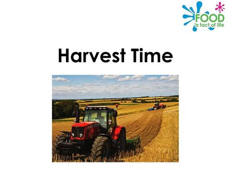 Harvest Time. © Food – a fact of life 2012 Why is harvest celebrated? Harvest Festival is a Christian celebration to give thanks for the crops which have.