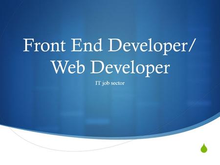  Front End Developer/ Web Developer IT job sector.
