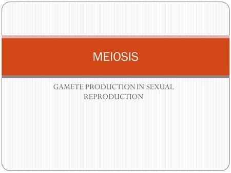 GAMETE PRODUCTION IN SEXUAL REPRODUCTION