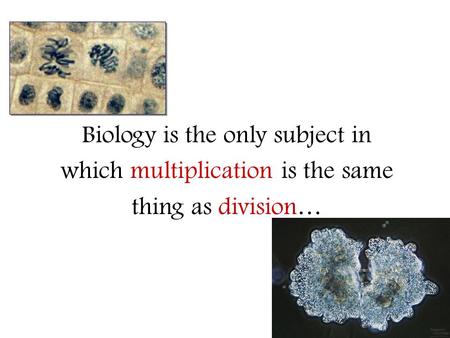 2006-2007 Biology is the only subject in which multiplication is the same thing as division…