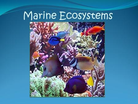 Marine Ecosystems. Estuaries Estuaries are formed where ocean water mixes with fresh water These calm waters contain an abundance of Dissolved Oxygen,