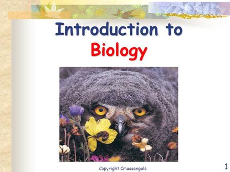 1 Introduction to Biology Copyright Cmassengale. 2 Biology – The Study of Life Life arose more than 3.5 billion years ago First organisms (living things)