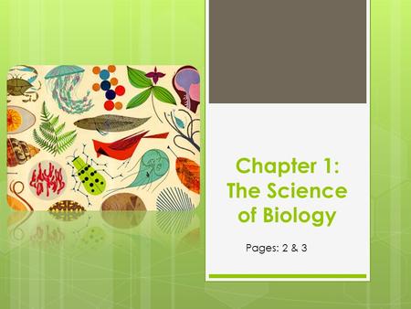 Chapter 1: The Science of Biology Pages: 2 & 3. What is science? 1) An organized way of using evidence to learn about the natural world. 2) The body of.