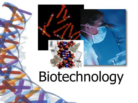 Biotechnology. Breeding The first biotechnology Selective Breeding The breeding of organisms to produce certain desired traits in their offspring.