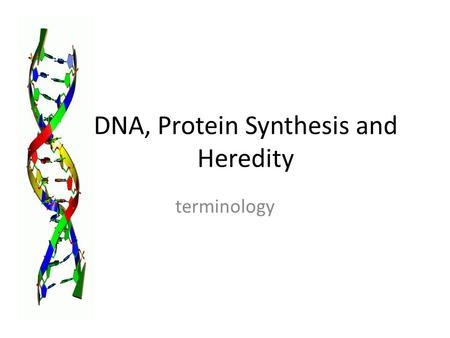 DNA, Protein Synthesis and Heredity terminology. DNA Deoxyribonucleic acid Two strands Found in nucleus of eukaryotic cell Found in cytoplasm of prokaryotic.