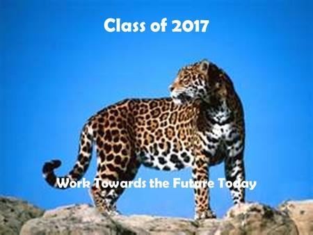 Class of 2017 Work Towards the Future Today. Number of Credits You must have a minimum of 23 credits to receive a diploma from Douglas County School System.