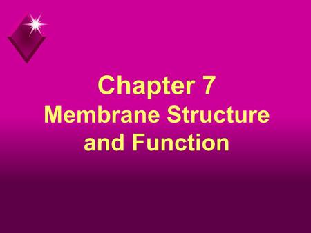 Chapter 7 Membrane Structure and Function. Plasma Membrane u The membrane at the boundary of every cell. u Functions as a selective barrier for the passage.