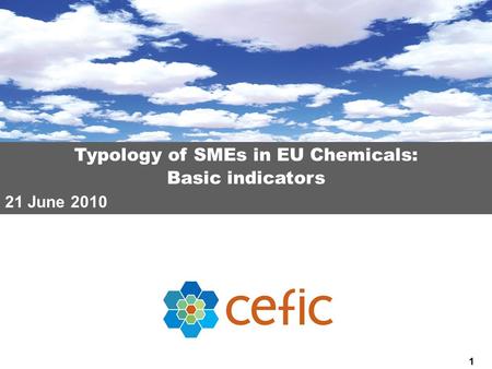 1 Typology of SMEs in EU Chemicals: Basic indicators 21 June 2010.