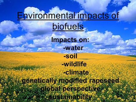 Environmental impacts of biofuels Impacts on: -water -soil -wildlife -climate genetically modified rapeseed global perspective sustainability.