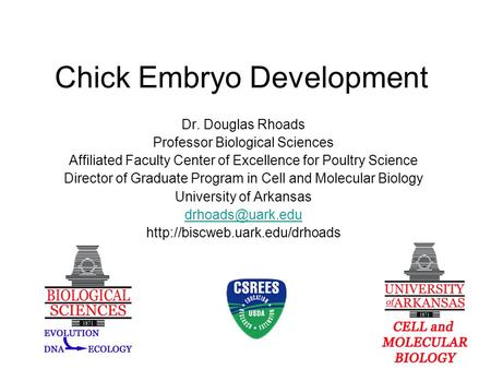 Chick Embryo Development Dr. Douglas Rhoads Professor Biological Sciences Affiliated Faculty Center of Excellence for Poultry Science Director of Graduate.