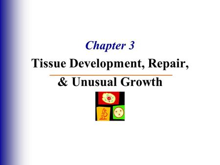 Chapter 3 Tissue Development, Repair, & Unusual Growth.
