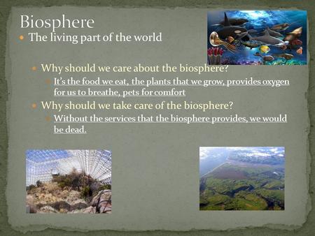 The living part of the world Why should we care about the biosphere? It’s the food we eat, the plants that we grow, provides oxygen for us to breathe,