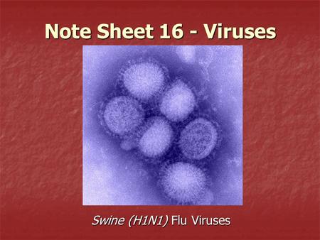 Note Sheet 16 - Viruses Swine (H1N1) Flu Viruses.