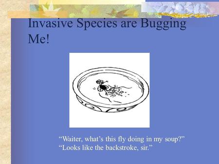 Invasive Species are Bugging Me! “Waiter, what’s this fly doing in my soup?” “Looks like the backstroke, sir.”