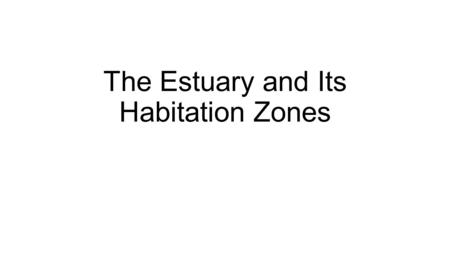 The Estuary and Its Habitation Zones. Estuaries Estuaries are where the salt and fresh water mix Sheltered environments for saltmarshes and mangroves.