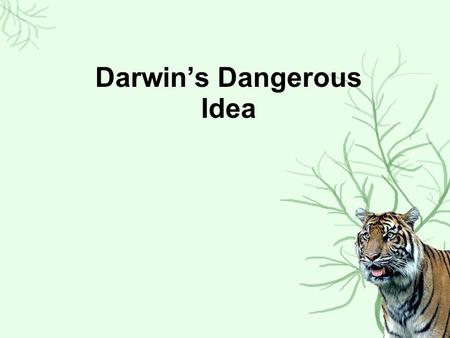Darwin’s Dangerous Idea. 1.Earth Is 10,000 Old (Ussher) 2.Species are fixed Pre-Darwinian beliefs 1.Earth Is MUCH older (Buffon) 1.Sudden changes; catastrophism.
