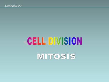 Lab Exercise # 3. Cell cycle: is the changes which occur in the cell during its division (mitosis) and during its rest (interphase). OR sequence of phases.