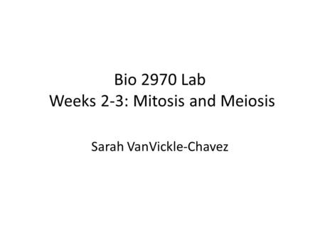 Bio 2970 Lab Weeks 2-3: Mitosis and Meiosis Sarah VanVickle-Chavez.