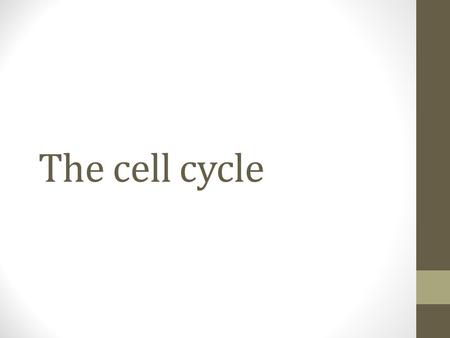 The cell cycle. The division unicellular organism (e.g. Amoeba) reproduces an entire organism ( increasing the population ) multicellular organism ( e.g.
