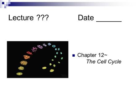 Lecture ???			Date ______ Chapter 12~ 		The Cell Cycle.