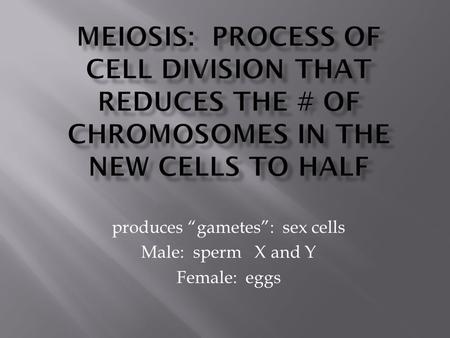 Produces “gametes”: sex cells Male: sperm X and Y Female: eggs.