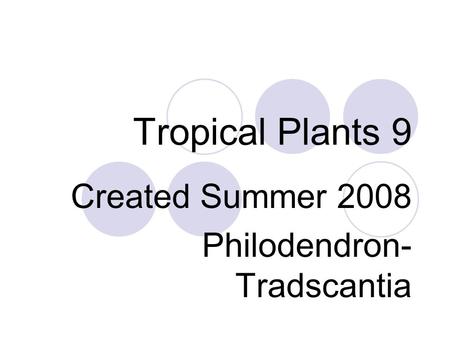Tropical Plants 9 Created Summer 2008 Philodendron- Tradscantia.