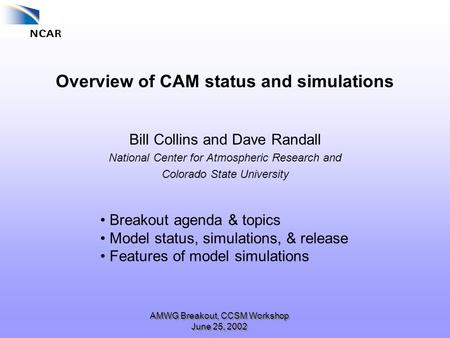 AMWG Breakout, CCSM Workshop June 25, 2002 Overview of CAM status and simulations Bill Collins and Dave Randall National Center for Atmospheric Research.