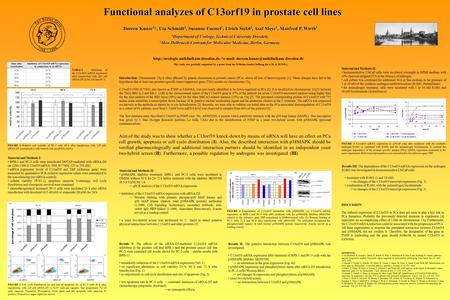 *  Functional analyzes of C13orf19 in prostate cell lines Doreen Kunze.