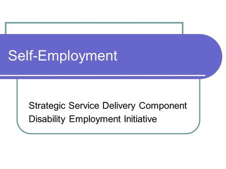 Self-Employment Strategic Service Delivery Component Disability Employment Initiative.