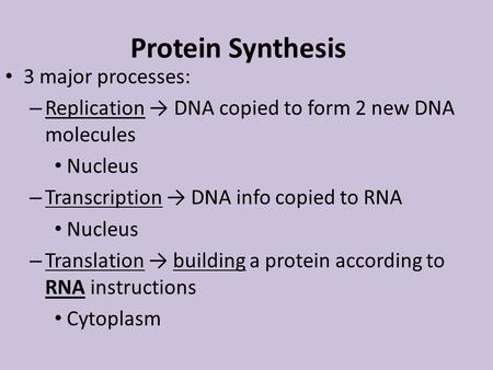 Protein Synthesis 3 major processes: – Replication → DNA copied to form 2 new DNA molecules Nucleus – Transcription → DNA info copied to RNA Nucleus –
