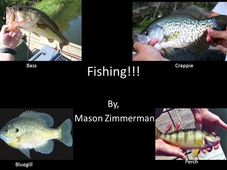 Fishing!!! By, Mason Zimmerman BassCrappie Bluegill Perch.