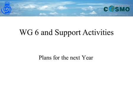 WG 6 and Support Activities Plans for the next Year.