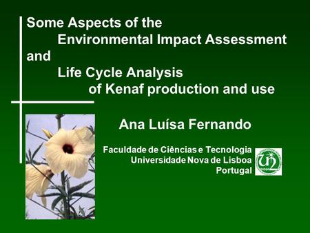 Some Aspects of the. Environmental Impact Assessment and