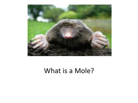 What is a Mole? To a chemist a mole is a counting unit for a substance. Abbreviated “mol”