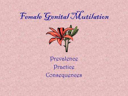 Female Genital Mutilation Prevalence Practice Consequences.
