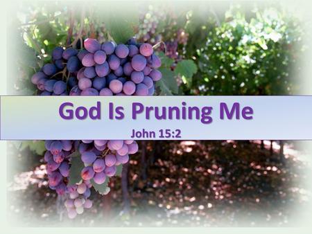 God Is Pruning Me John 15:2. Jesus and Fruit Bearing No fruit (v. 2) Fruit (v. 2) More fruit (v. 2) Much fruit (v. 5,8)