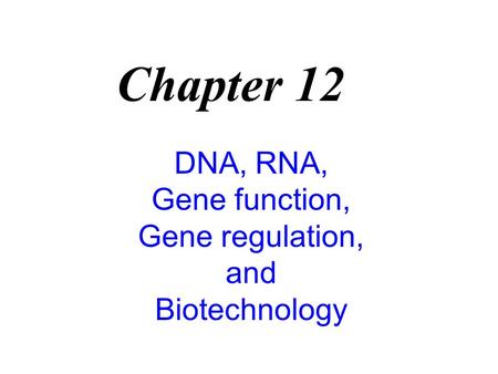 Chapter 12 DNA, RNA, Gene function, Gene regulation, and Biotechnology.