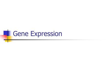 Gene Expression. Central Dogma Information flows from: DNA  RNA  Protein Exception: reverse transcriptase (retroviruses) RNA  DNA  RNA  Protein.