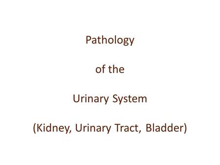 Pathology of the Urinary System (Kidney, Urinary Tract, Bladder)