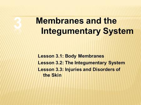 3 Membranes and the Integumentary System