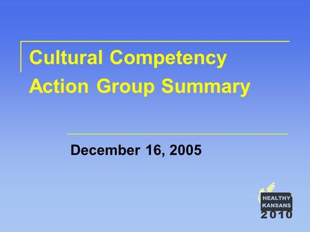 Cultural Competency Action Group Summary December 16, 2005.