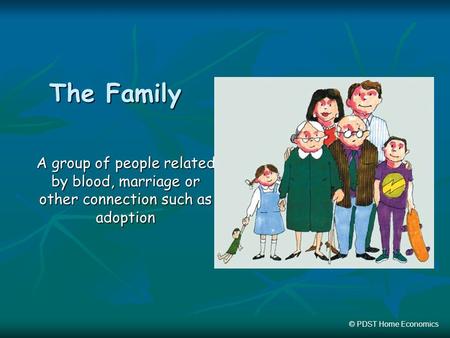 The Family A group of people related by blood, marriage or other connection such as adoption © PDST Home Economics.
