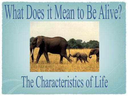 What are the Characteristics of Living Things? Pg. 16 Composed of one or more cells Reproduction Universal Genetic Code Growth & development Energy use.