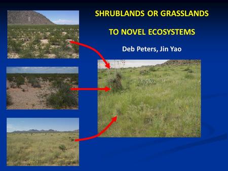 SHRUBLANDS OR GRASSLANDS TO NOVEL ECOSYSTEMS Deb Peters, Jin Yao.