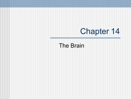 Chapter 14 The Brain. Cerebrum Divided into 2 hemispheres Corpus Callosum joins the 2 hemispheres Cortex- highly folded gray matter, deep grooves in the.